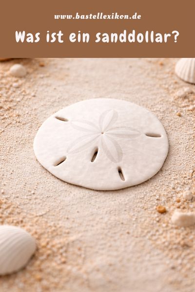 Was ist ein Sanddollar?